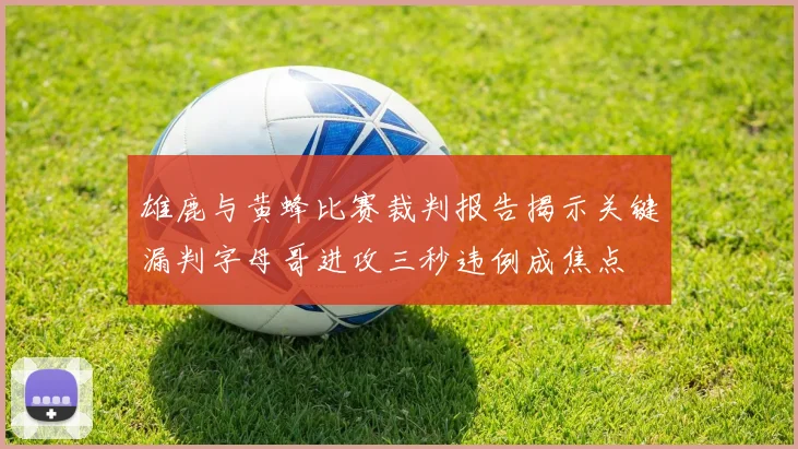 雄鹿与黄蜂比赛裁判报告揭示关键漏判字母哥进攻三秒违例成焦点
