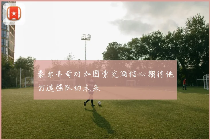 泰尔齐奇对加图索充满信心期待他打造强队的未来