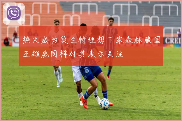 热火成为莫兰特理想下家森林狼国王雄鹿同样对其表示关注