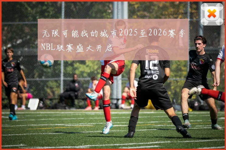 无限可能我的城市2025至2026赛季NBL联赛盛大开启