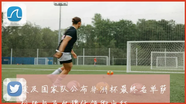 埃及国家队公布非洲杯最终名单萨拉赫与马尔穆什领衔出征