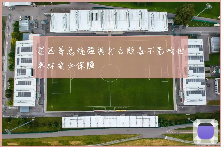 墨西哥总统强调打击贩毒不影响世界杯安全保障